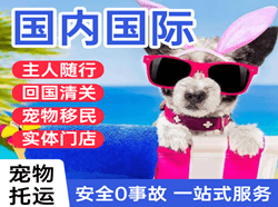 长治航空货运国际宠物托运 【国